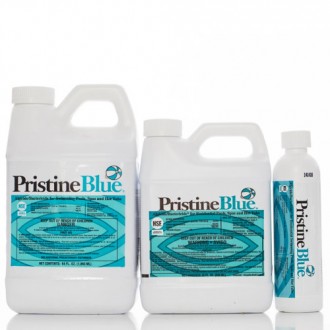 Algicidas baktericidas dumblių naikinimui kubiluose, baseinuose, masažinėse voniose ir SPA PristineBlue®; 946 ml